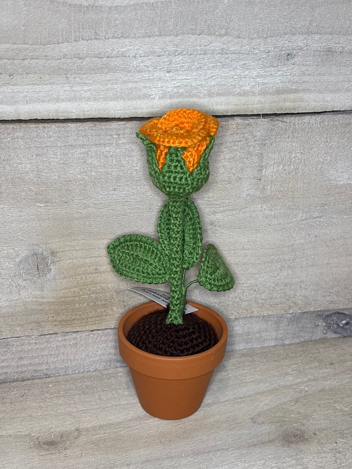 Various Crochet Plant In Pot