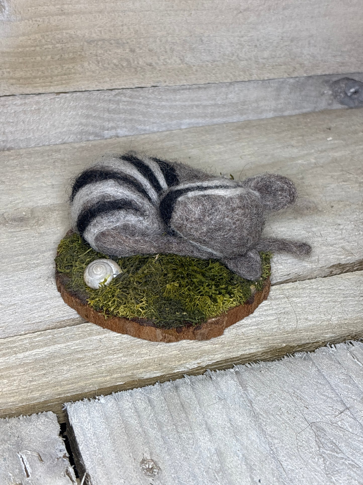 Felt Sleeping Numbat