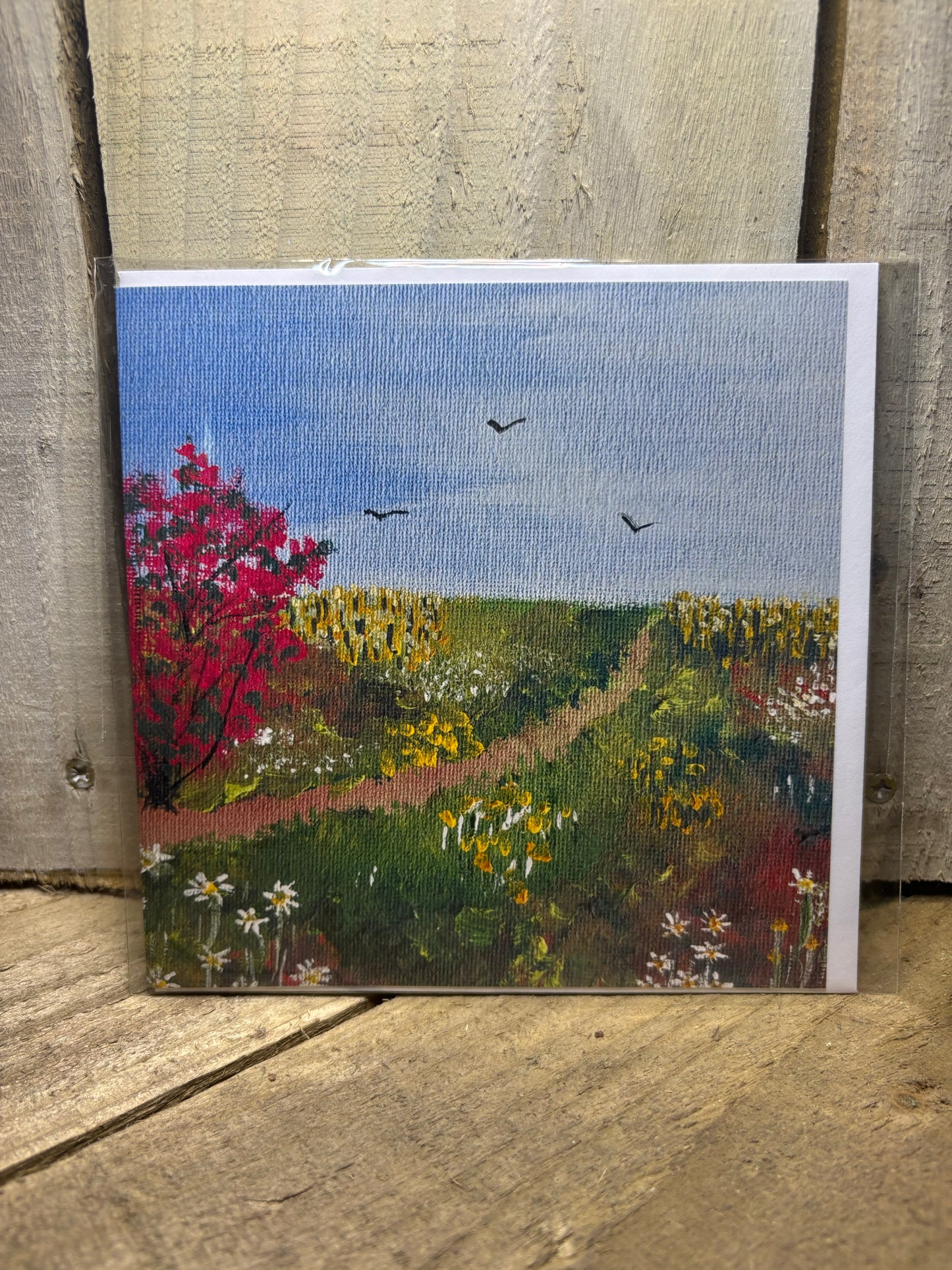 Various Original Greeting Cards