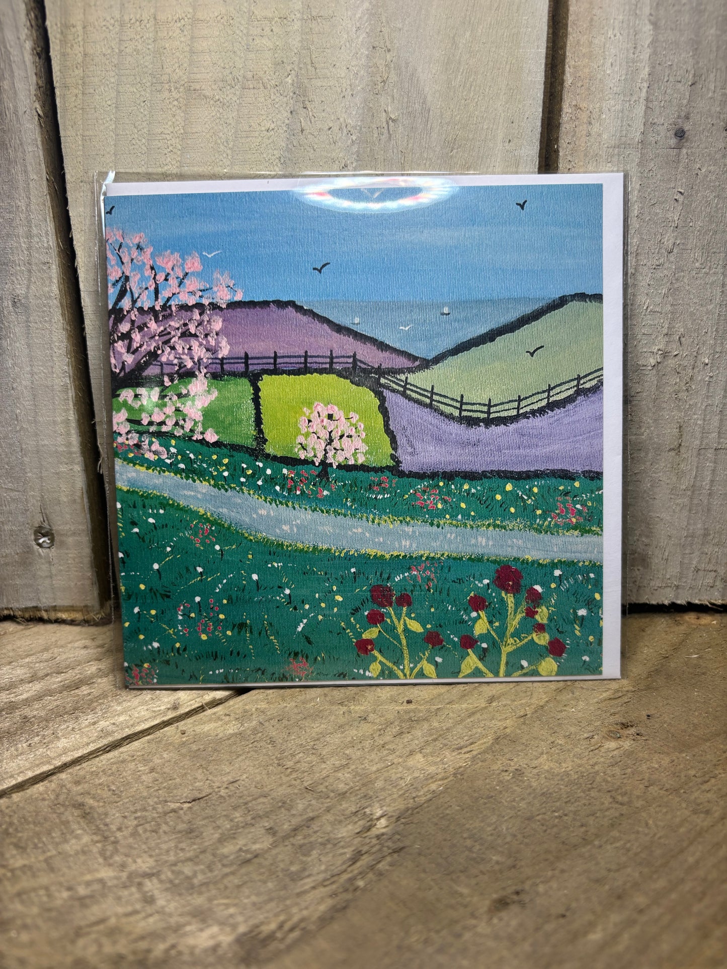 Various Original Greeting Cards