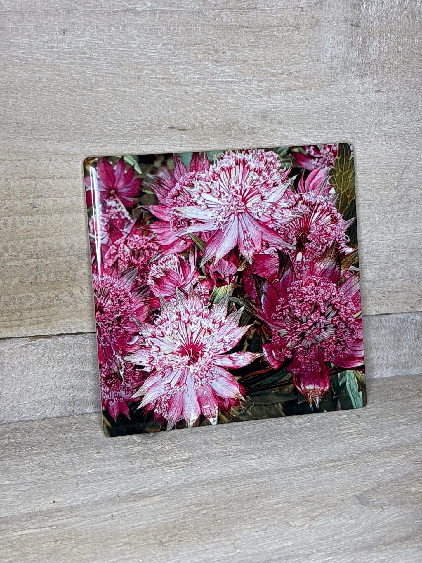 Various Floral Coasters