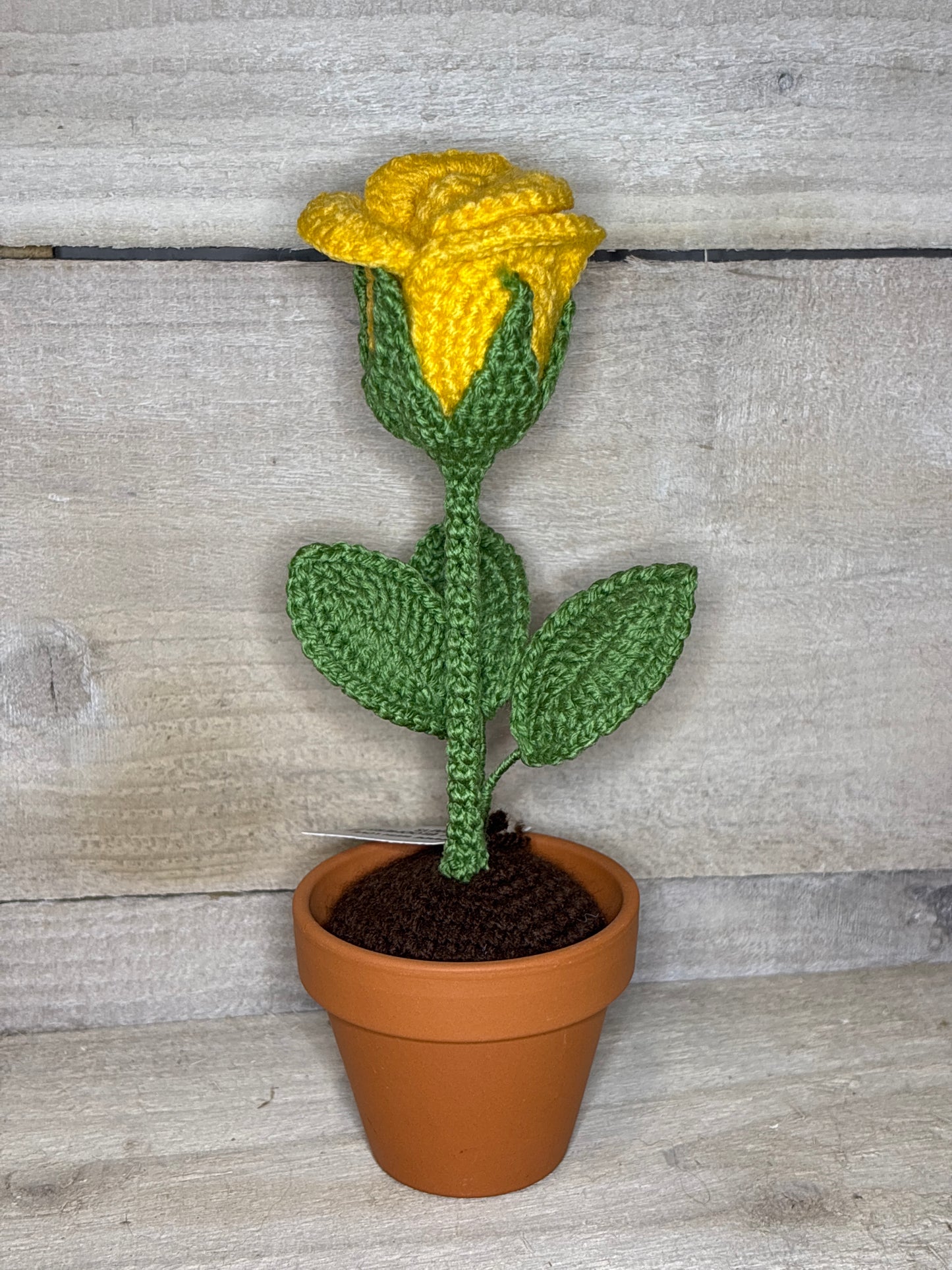 Various Crochet Plant In Pot