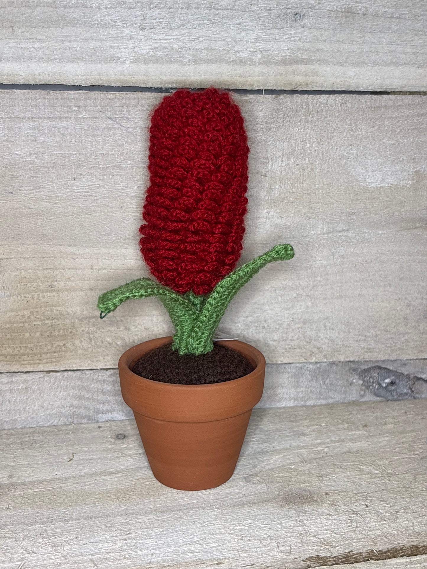 Various Crochet Plant In Pot