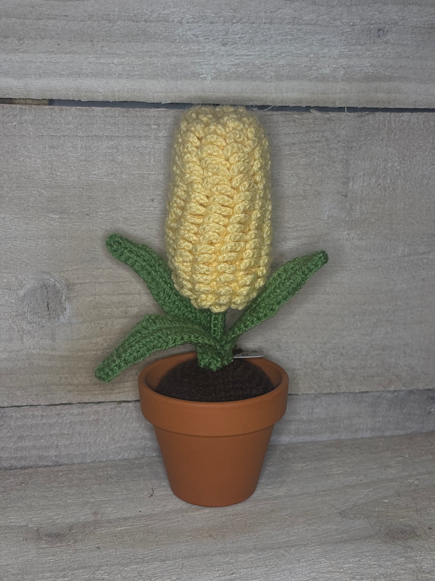 Various Crochet Plant In Pot