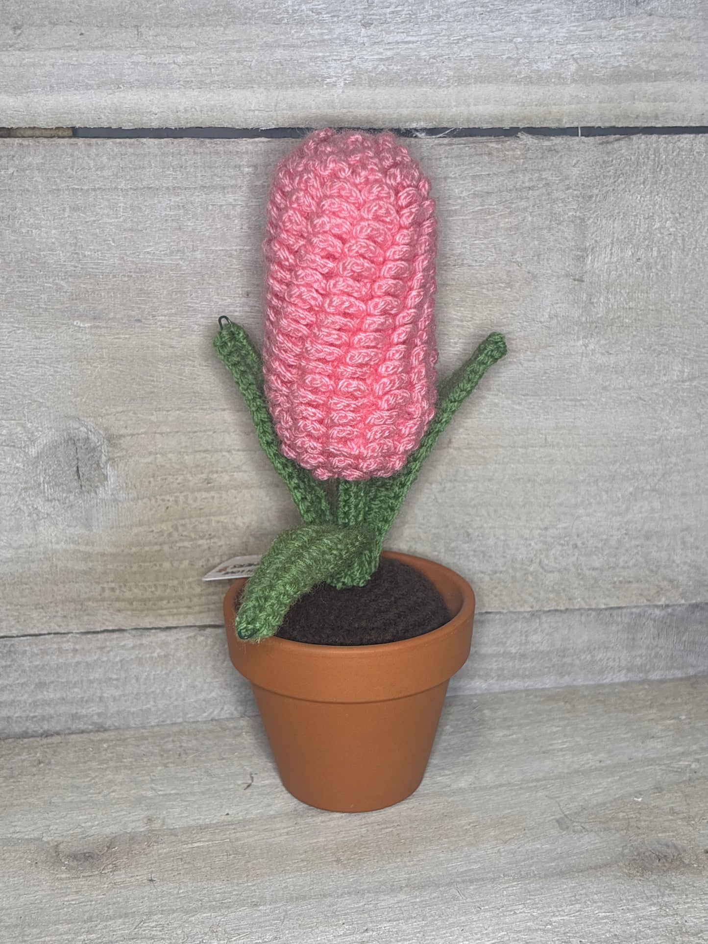 Various Crochet Plant In Pot