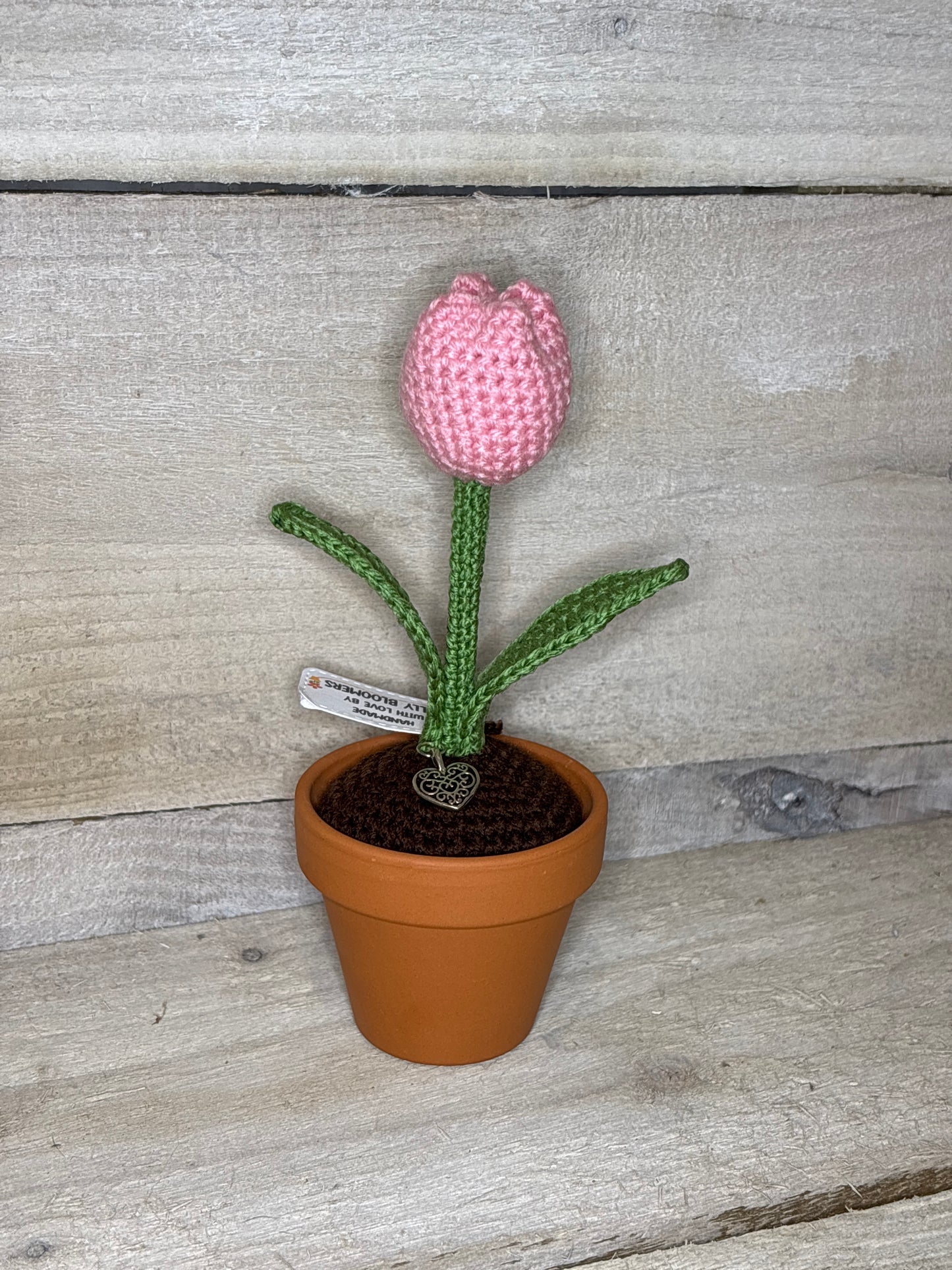 Various Crochet Plant In Pot