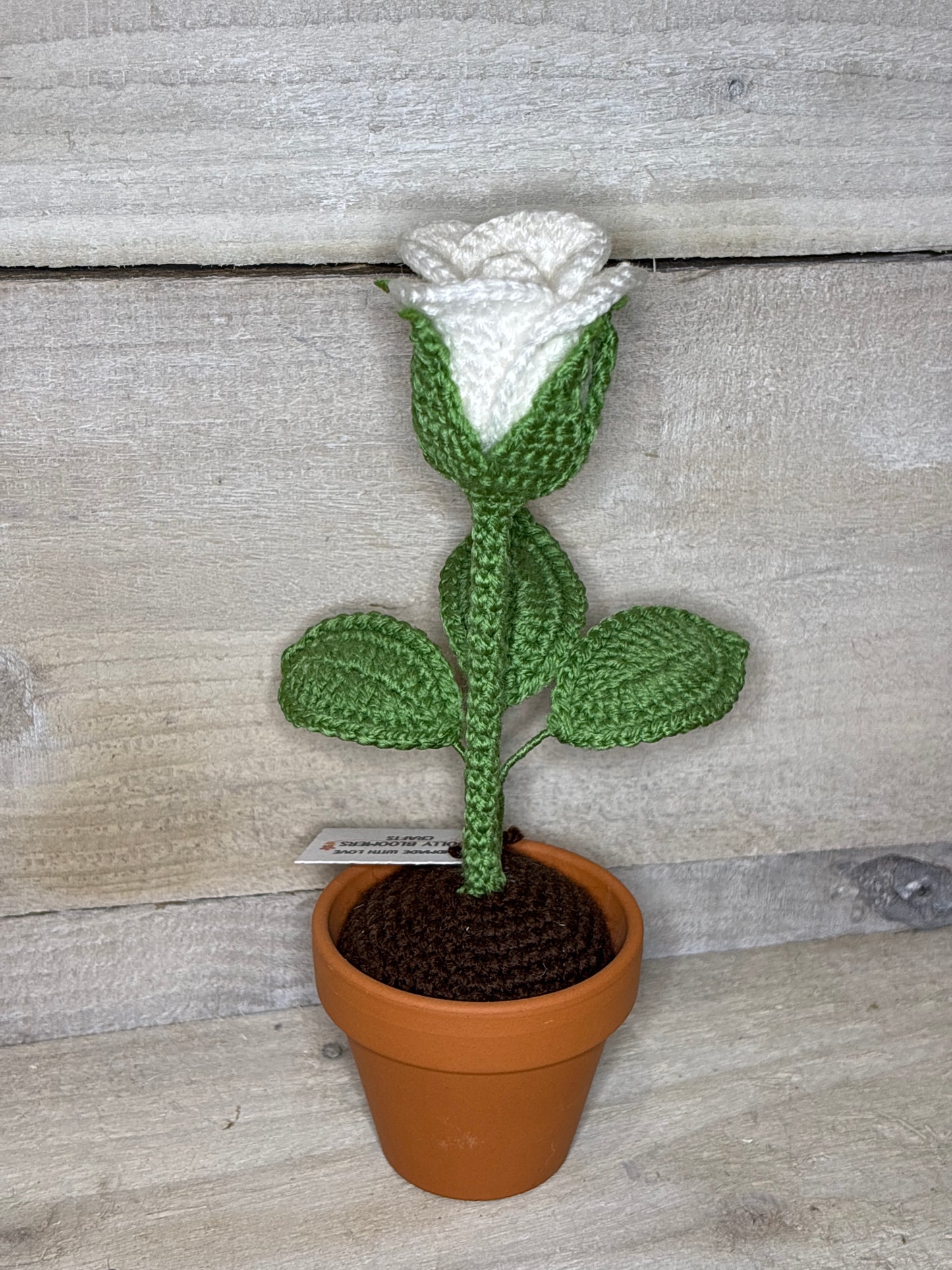 Various Crochet Plant In Pot