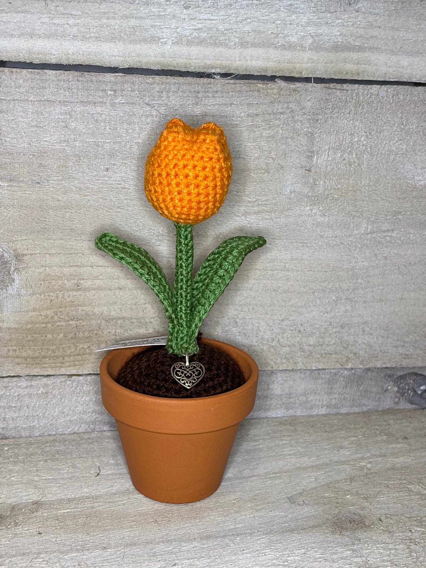 Various Crochet Plant In Pot
