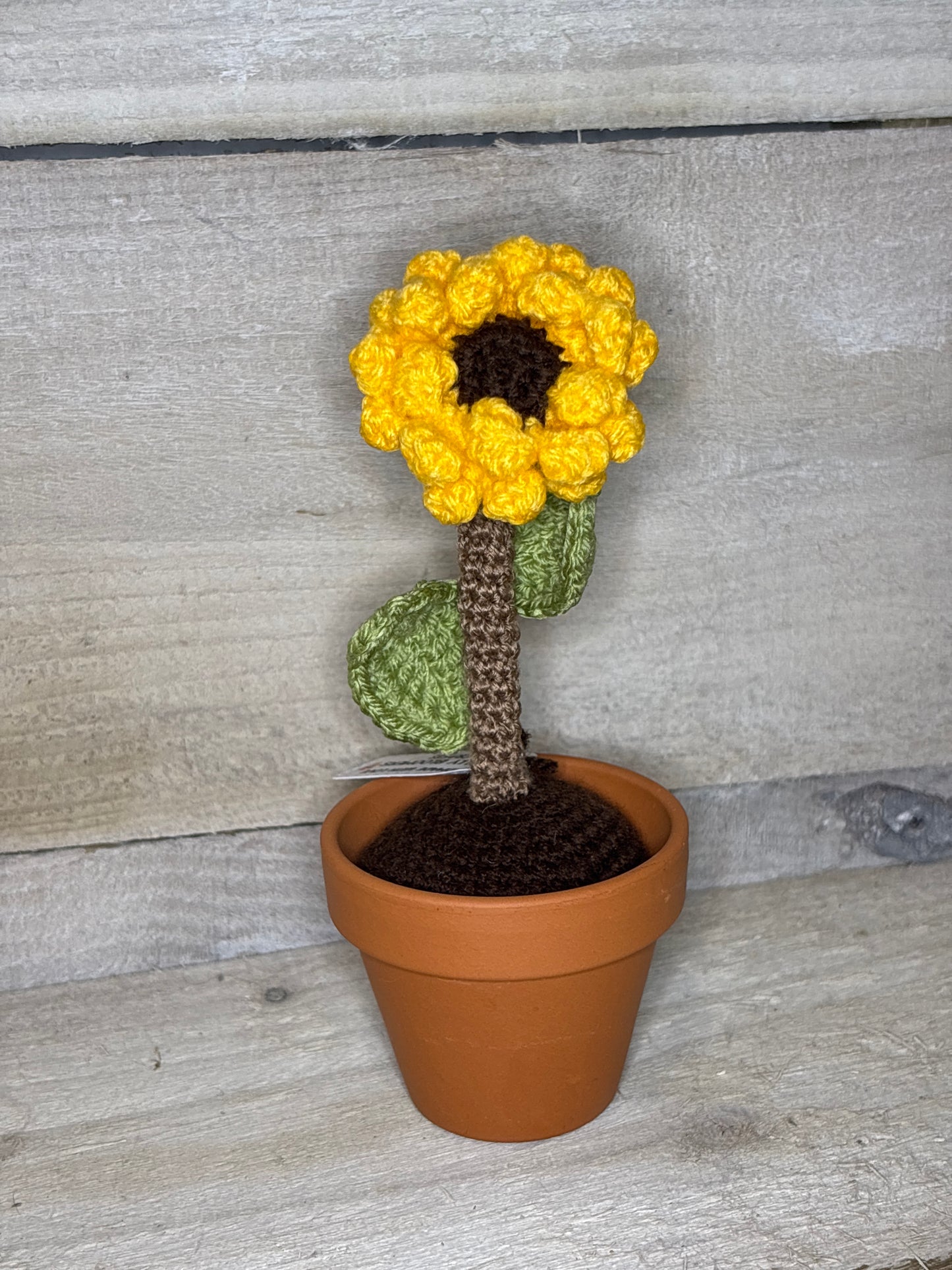 Various Crochet Plant In Pot
