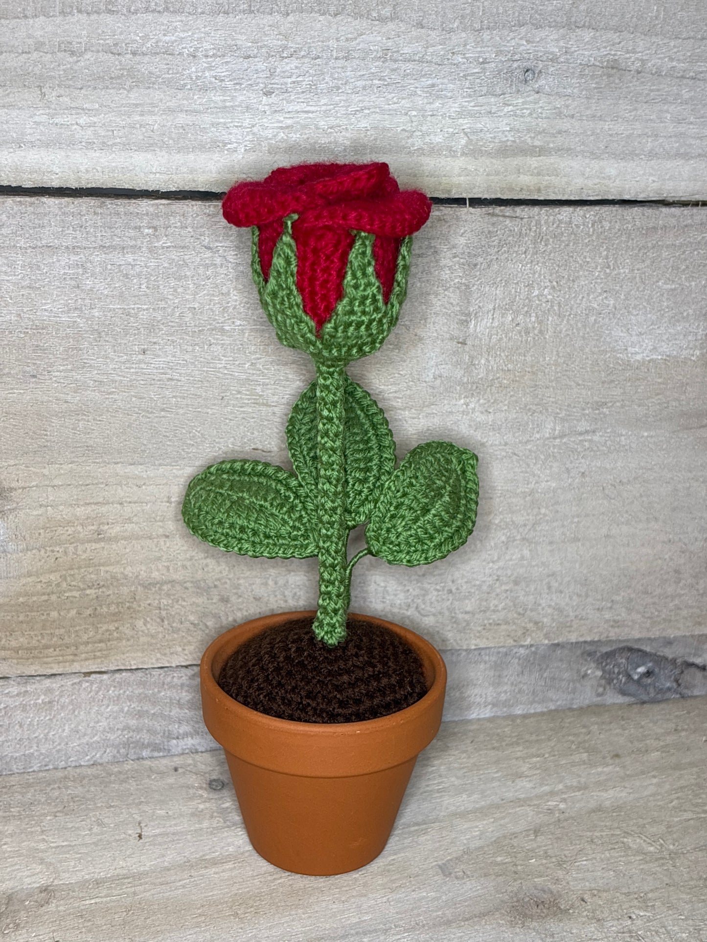 Various Crochet Plant In Pot