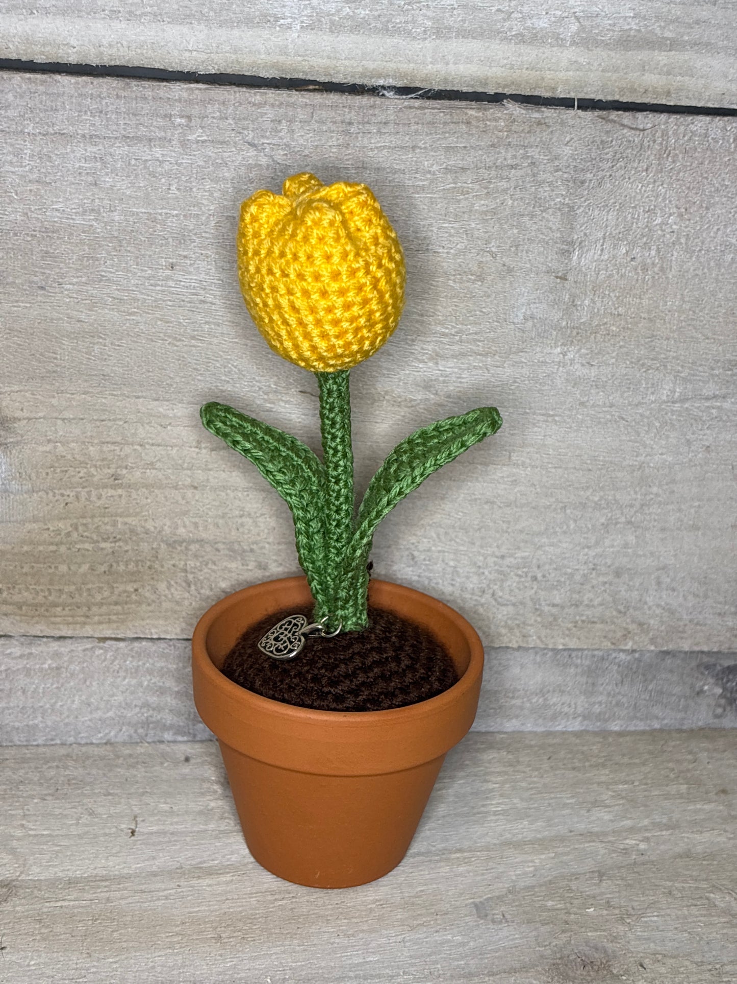 Various Crochet Plant In Pot