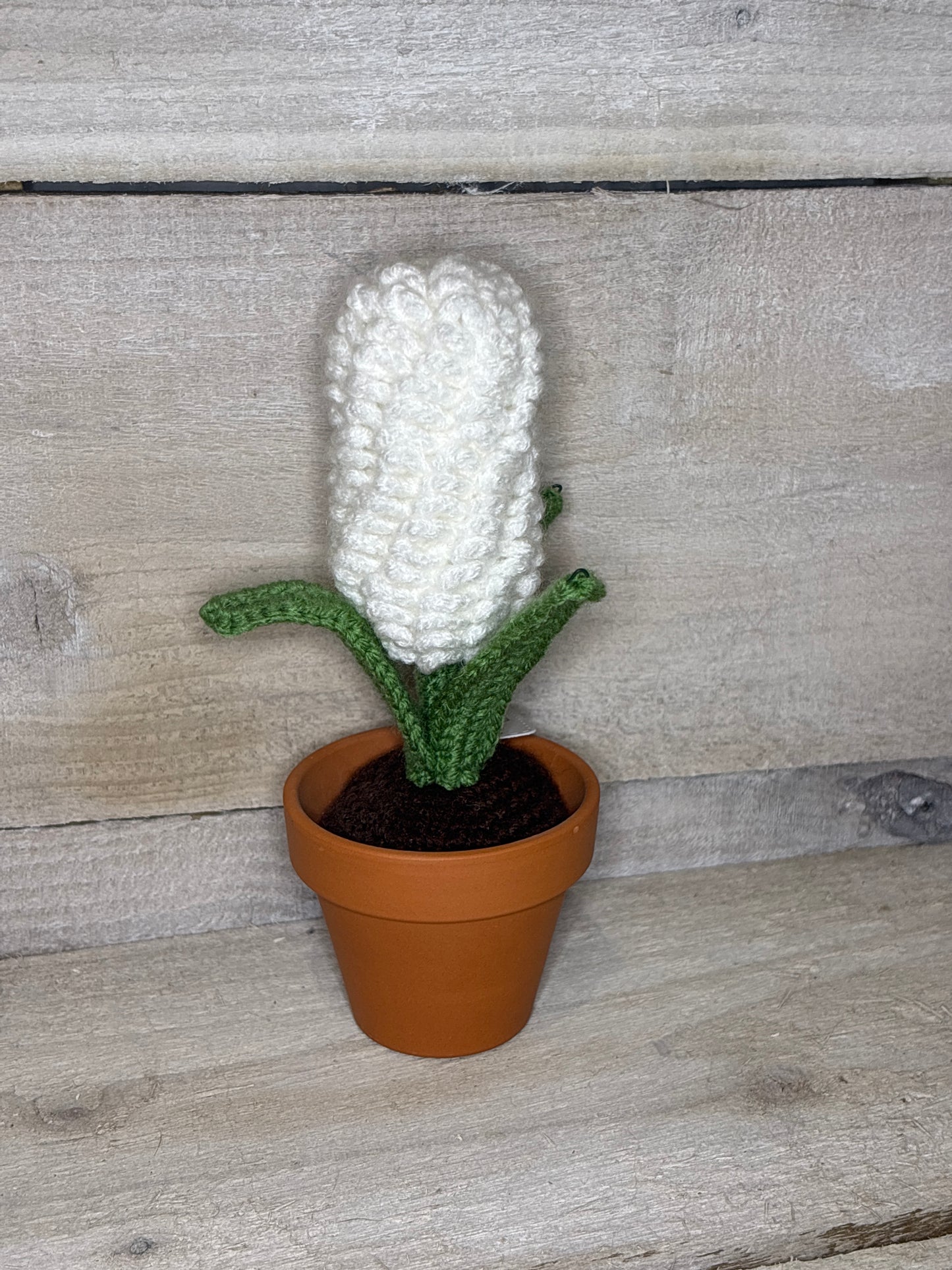 Various Crochet Plant In Pot