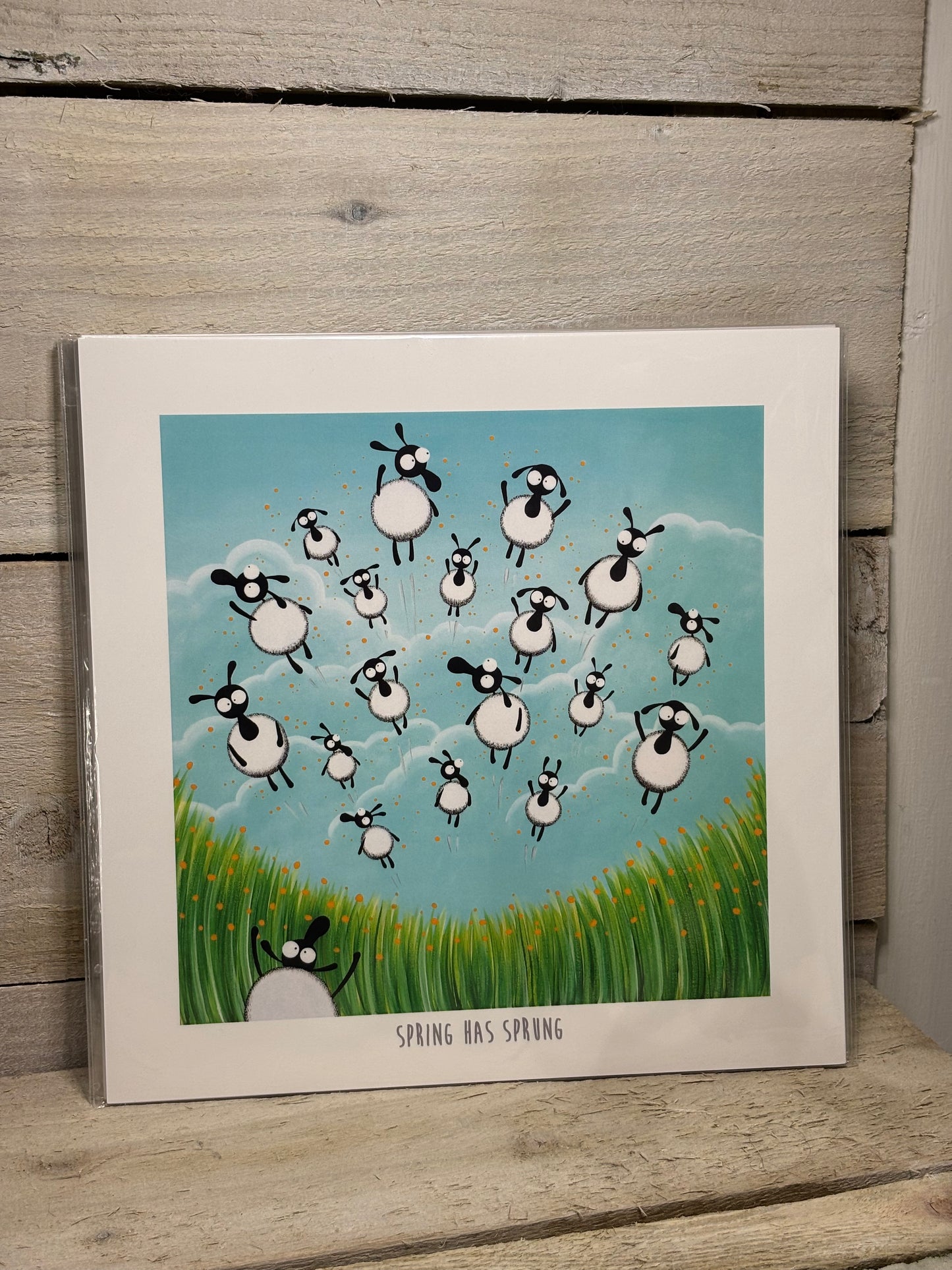 Novelty Sheep Print
