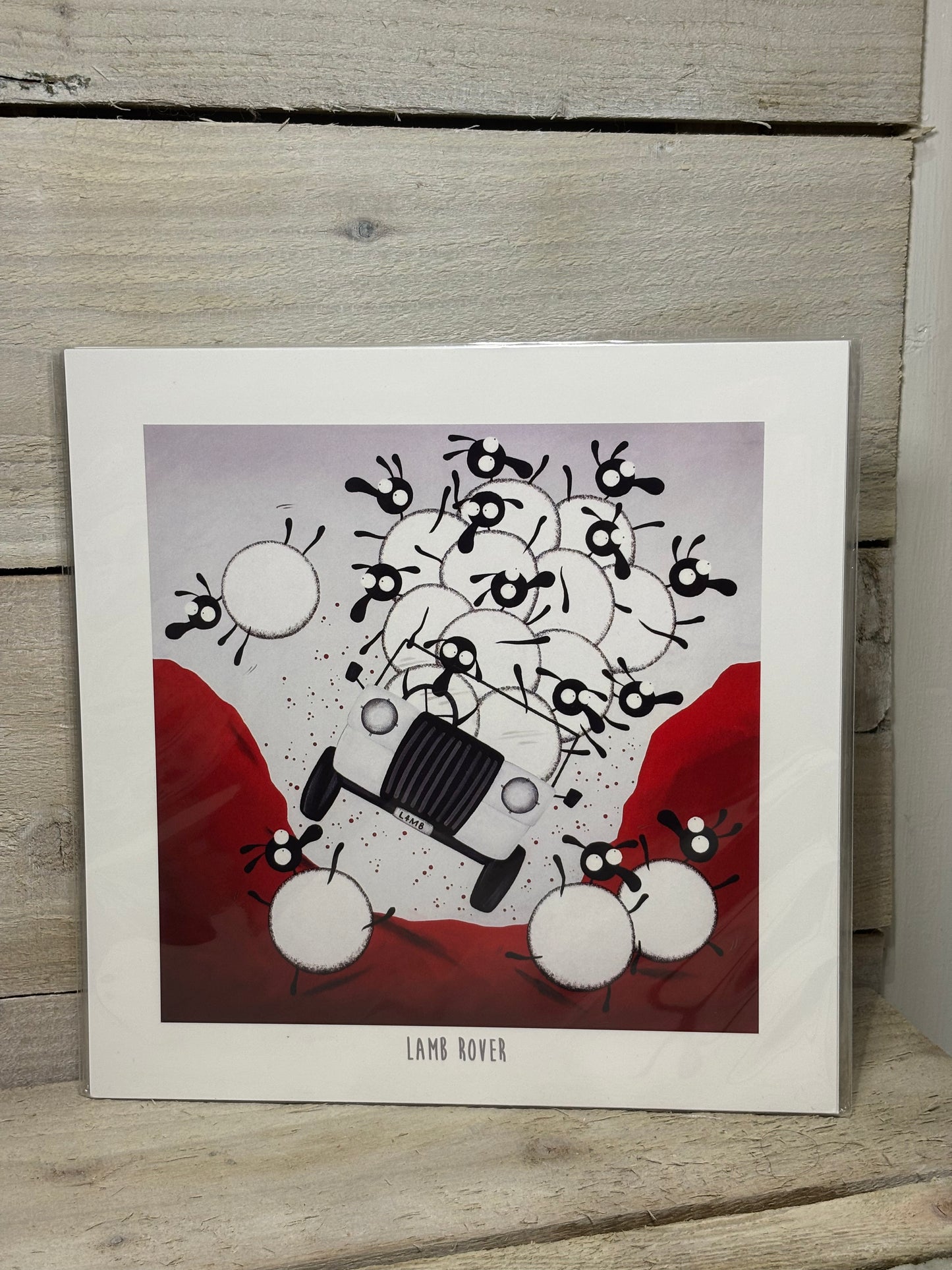 Novelty Sheep Print