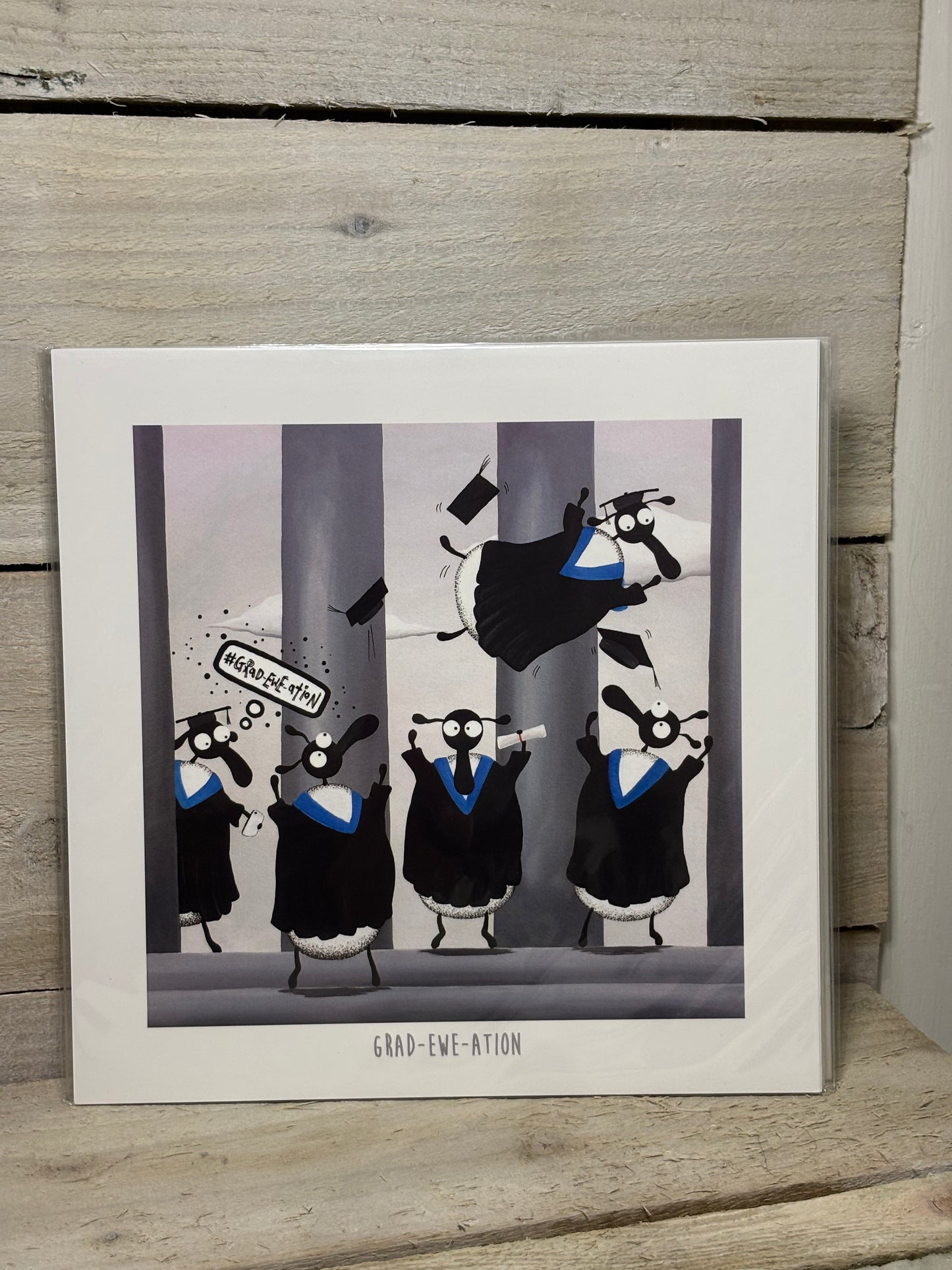 Novelty Sheep Print