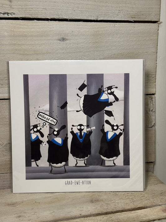 Novelty Sheep Print