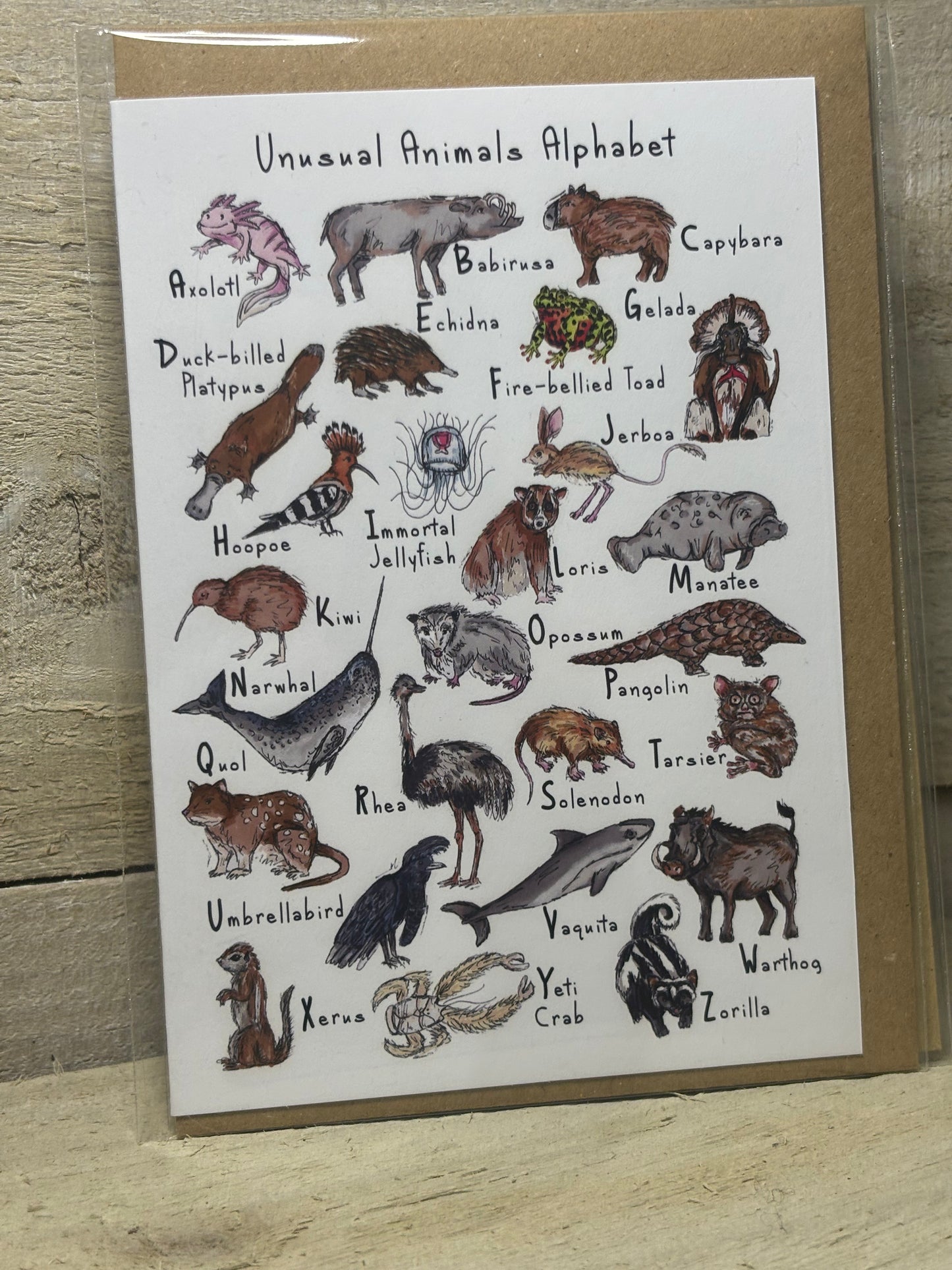 Various Hand Drawn Greeting Cards