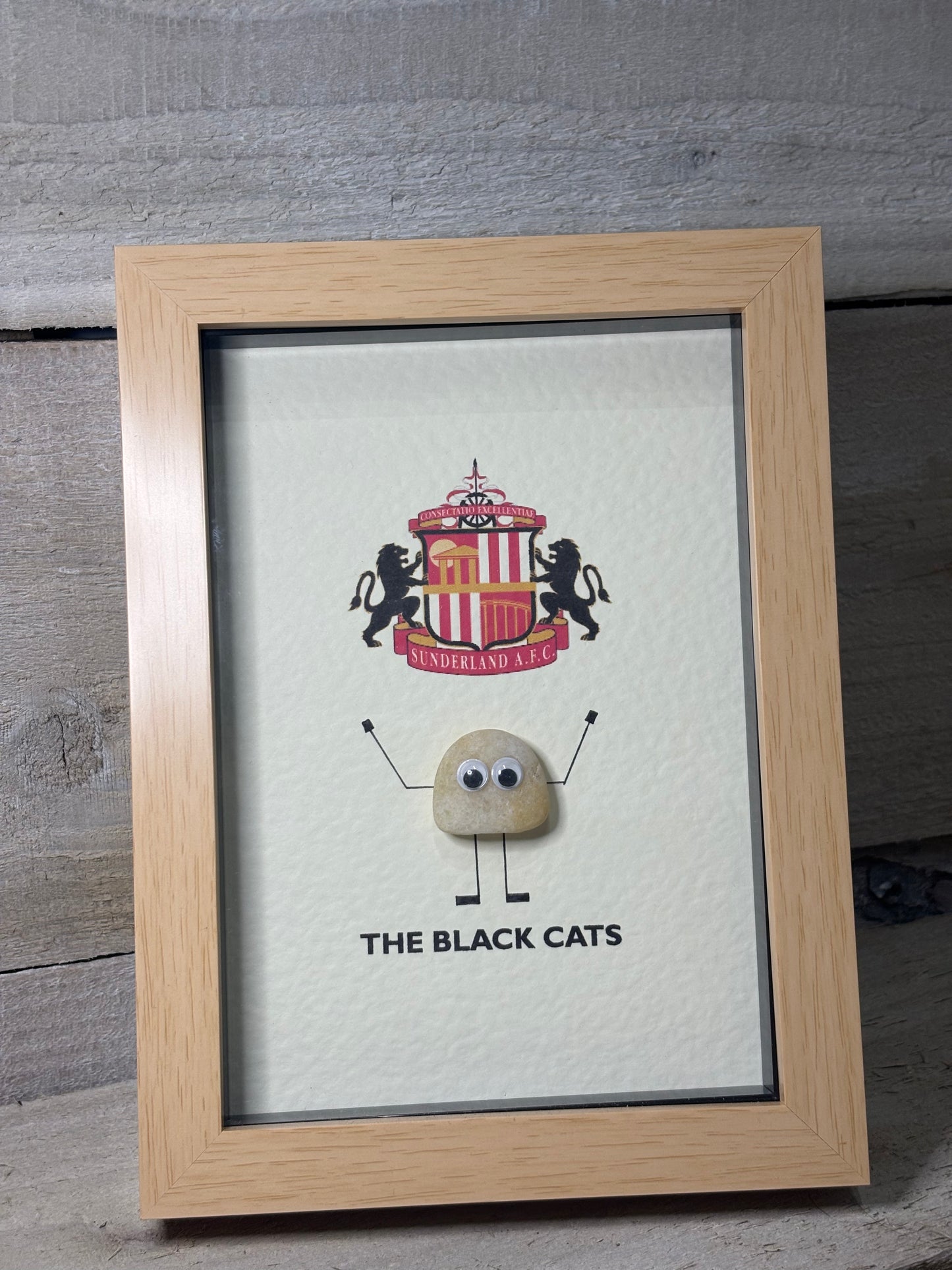 Various Sports Pebble Art