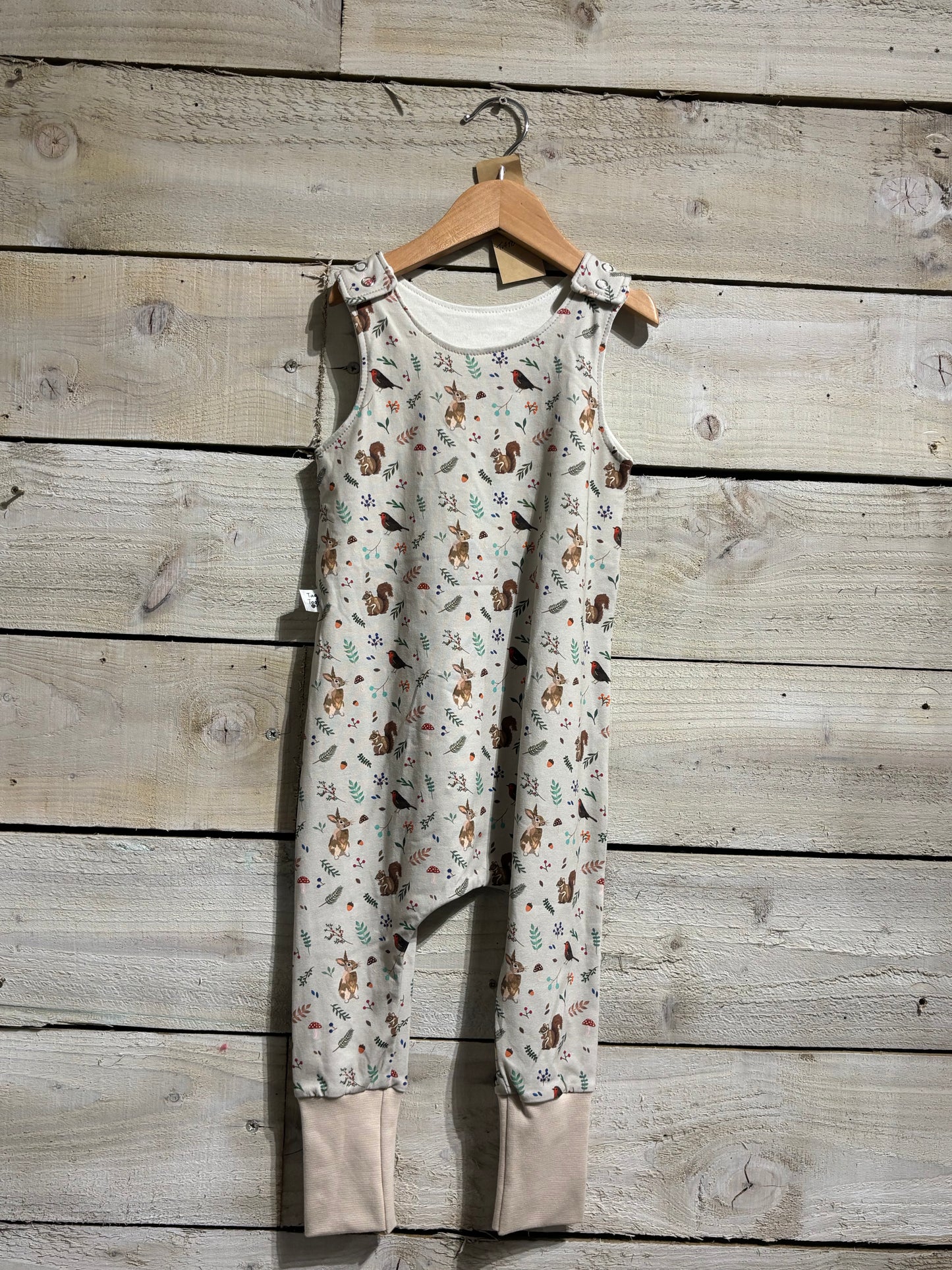 Various Baby Rompers