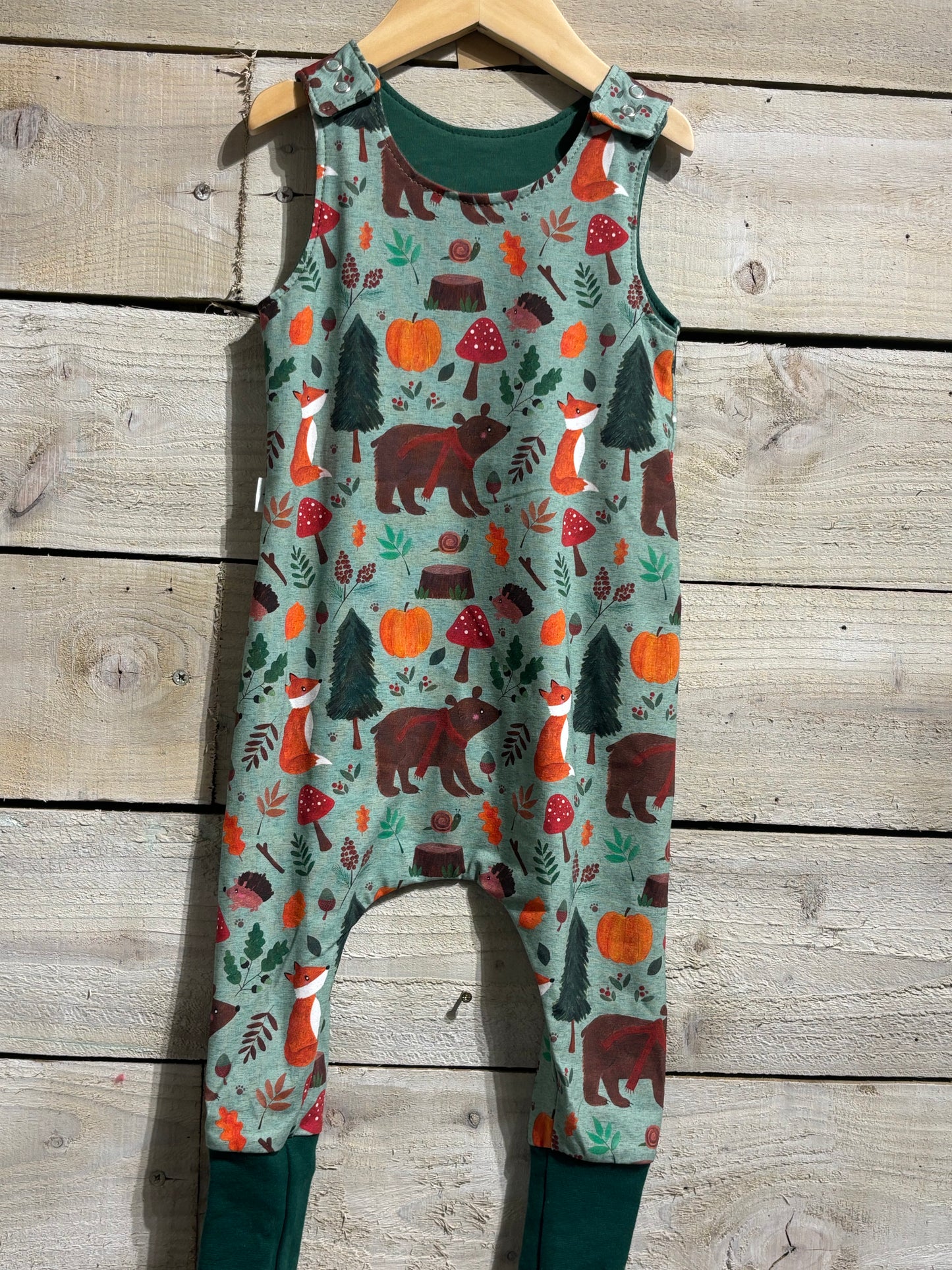 Various Baby Rompers